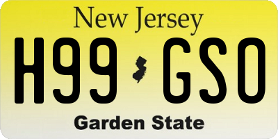 NJ license plate H99GSO