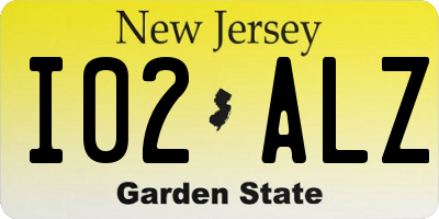 NJ license plate I02ALZ