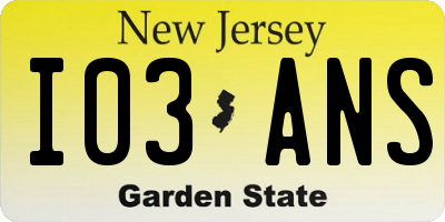 NJ license plate I03ANS