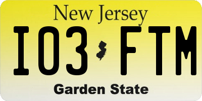 NJ license plate I03FTM