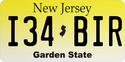 NJ license plate I34BIR