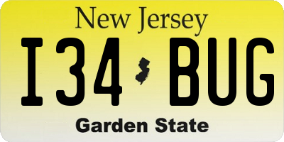 NJ license plate I34BUG