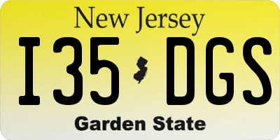 NJ license plate I35DGS