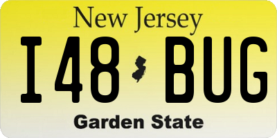 NJ license plate I48BUG
