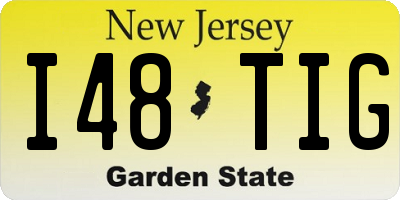 NJ license plate I48TIG