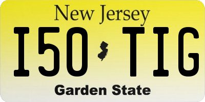 NJ license plate I50TIG