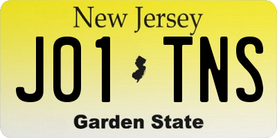 NJ license plate J01TNS
