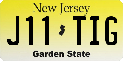 NJ license plate J11TIG