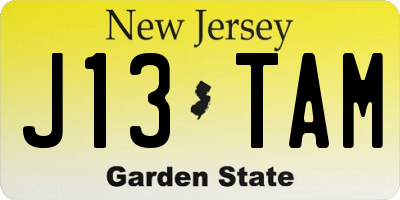 NJ license plate J13TAM