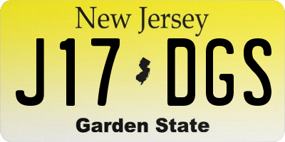 NJ license plate J17DGS