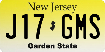 NJ license plate J17GMS