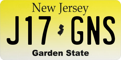 NJ license plate J17GNS