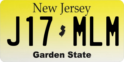 NJ license plate J17MLM