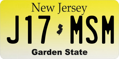 NJ license plate J17MSM