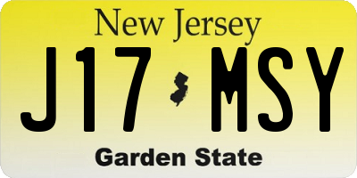 NJ license plate J17MSY