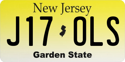 NJ license plate J17OLS
