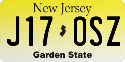 NJ license plate J17OSZ