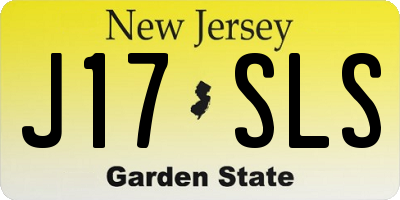 NJ license plate J17SLS