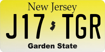 NJ license plate J17TGR