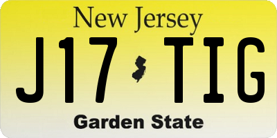 NJ license plate J17TIG