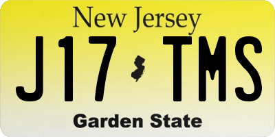 NJ license plate J17TMS