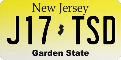 NJ license plate J17TSD