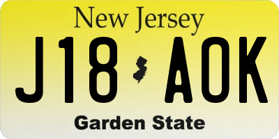 NJ license plate J18AOK