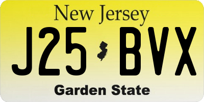 NJ license plate J25BVX