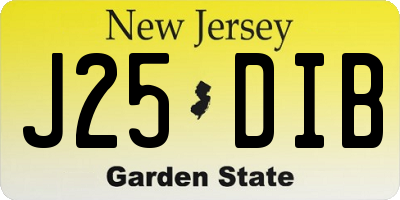 NJ license plate J25DIB