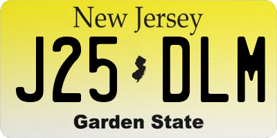 NJ license plate J25DLM