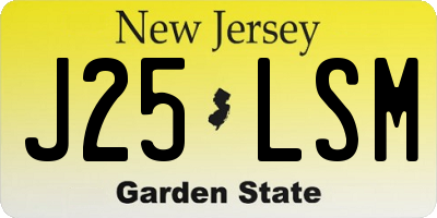 NJ license plate J25LSM