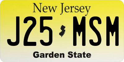 NJ license plate J25MSM