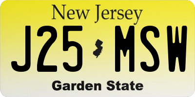 NJ license plate J25MSW