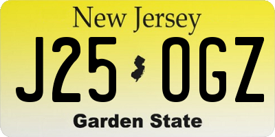 NJ license plate J25OGZ