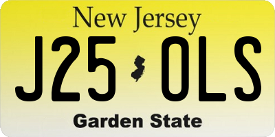 NJ license plate J25OLS