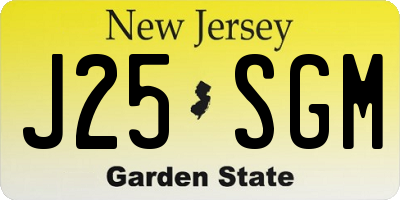 NJ license plate J25SGM