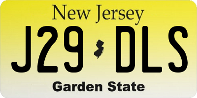 NJ license plate J29DLS