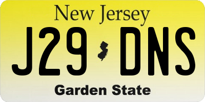 NJ license plate J29DNS