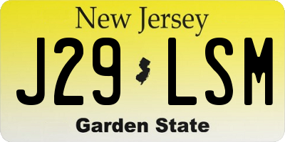 NJ license plate J29LSM
