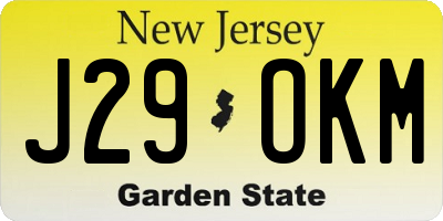NJ license plate J29OKM
