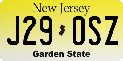 NJ license plate J29OSZ