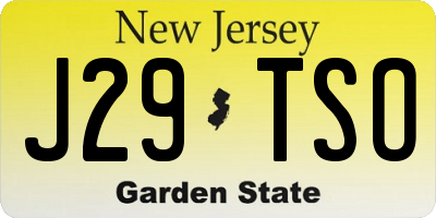 NJ license plate J29TSO