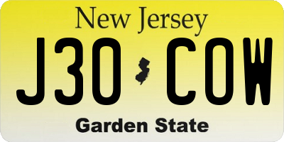 NJ license plate J30COW