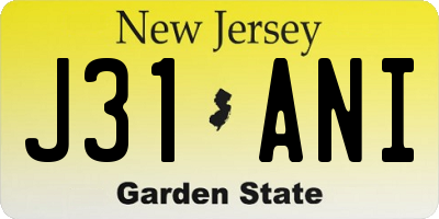 NJ license plate J31ANI