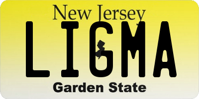 NJ license plate LIGMA