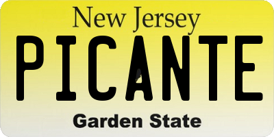 NJ license plate PICANTE