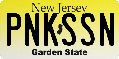 NJ license plate PNKSSN