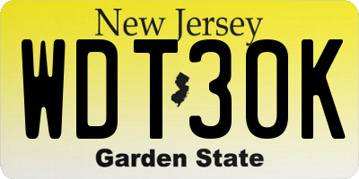NJ license plate WDT30K