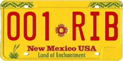 NM license plate 001RIB