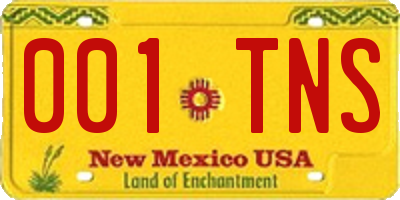 NM license plate 001TNS
